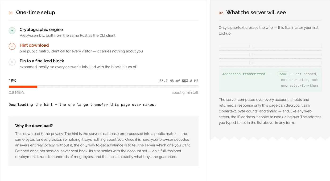 Screenshot of demo.risepir.org during the first-visit one-time setup: the hint download in progress, and the receipt panel before any lookup has run.